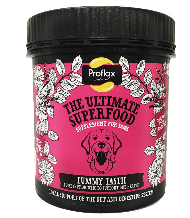 /Images/Products/proflax/proflax-proflax--tummytastic350ml.jpg