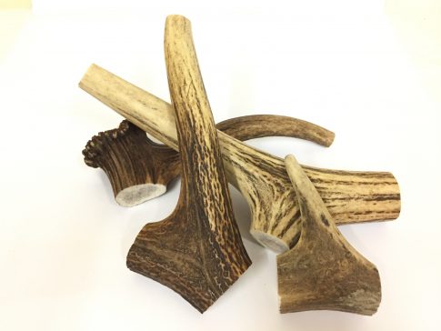 /Images/Products/riverside/riverside-naturaltreats--antler.jpg